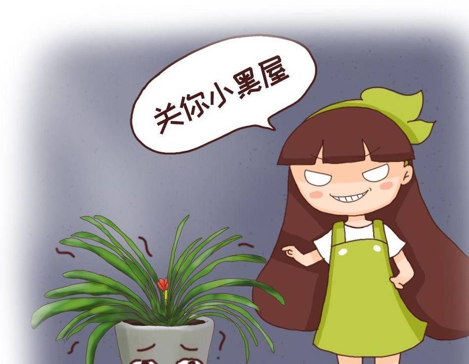 君子兰年年夹箭,关小黑屋,浇点酒,花箭5天就钻出来!_清水_花花_方法