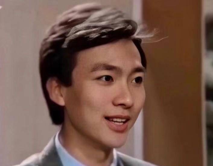 康辉:工作28年甘心当丁克,如果能重来,我一定为了母亲早要孩子_电视