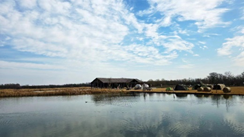 东滩湿地公园成功举办 龙年限定特色湿地游园会_活动_游客_愿望
