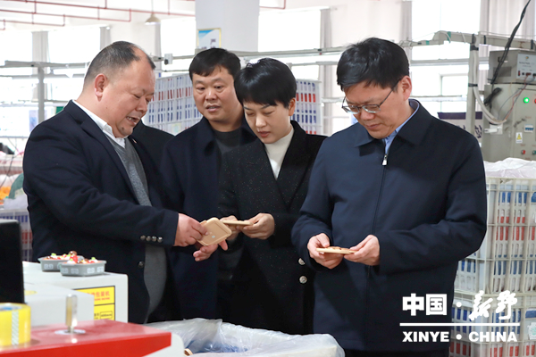 新野县委书记赵红亮调研企业复工复产和重点项目建设工作_发展_生产