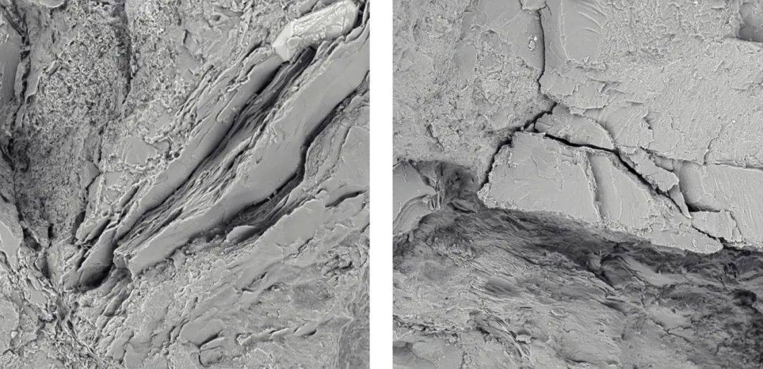 从宏观到微观——泽攸科技zem系列台式扫描电子显微镜在岩石分析中的