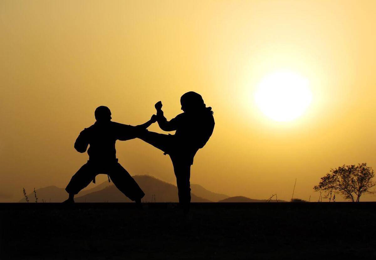 身心合一:站桩在武术修炼中的双重作用_身体_学习者_内心