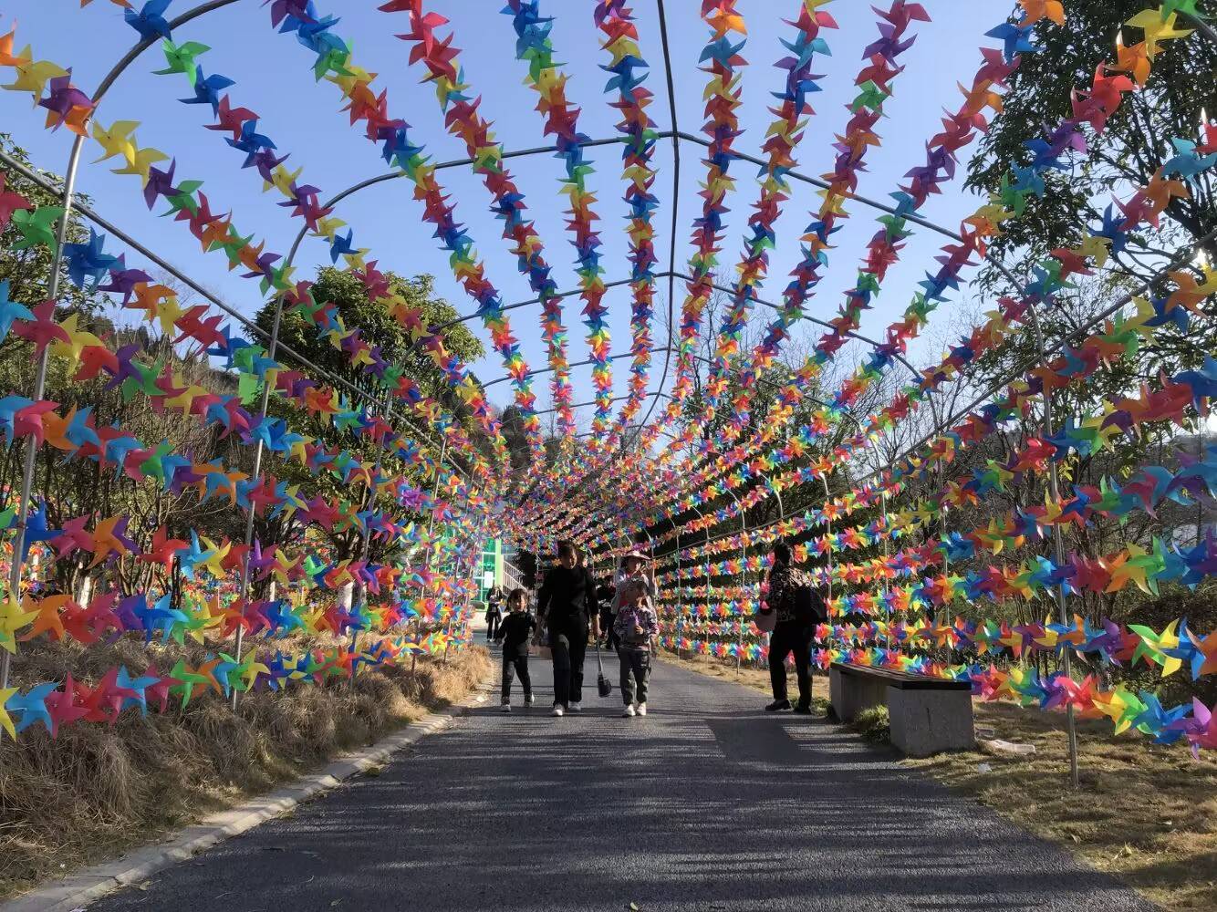 景区节目吸引力强,县外游客比例大幅提升,成为龙年春节息烽旅游经济