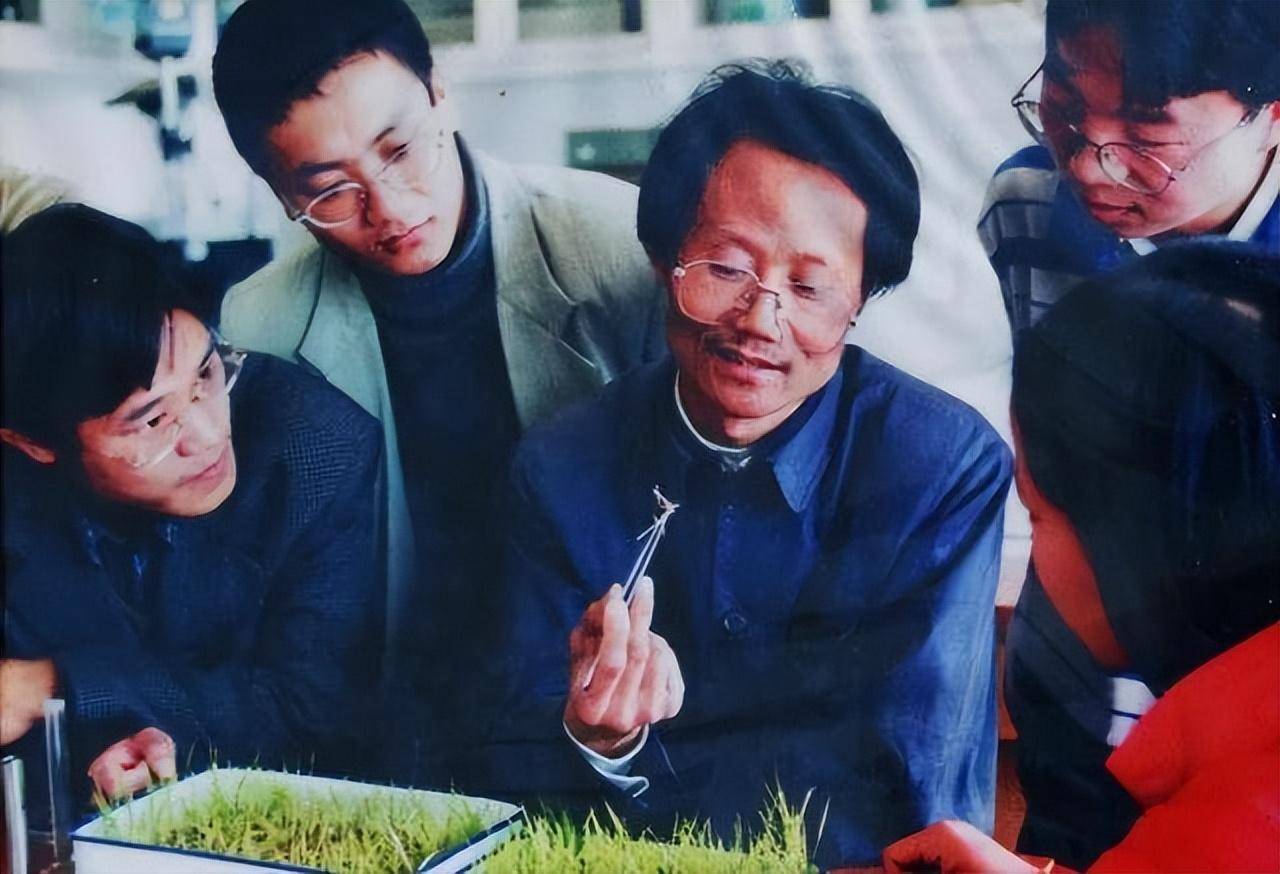 2014年一老人在火车站因带菜刀被拦,后才知:他曾经