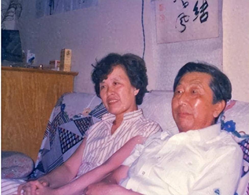 两人见面后,李文辉发现阎肃看起来比照片还要不好看,连精神也算不上.