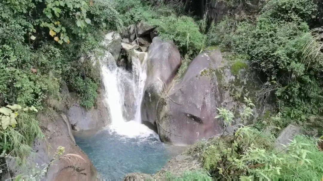 四川广安邻水县老龙洞高山农村 源自纯净,甜蜜的健康之选_蜂蜜_蜜蜂