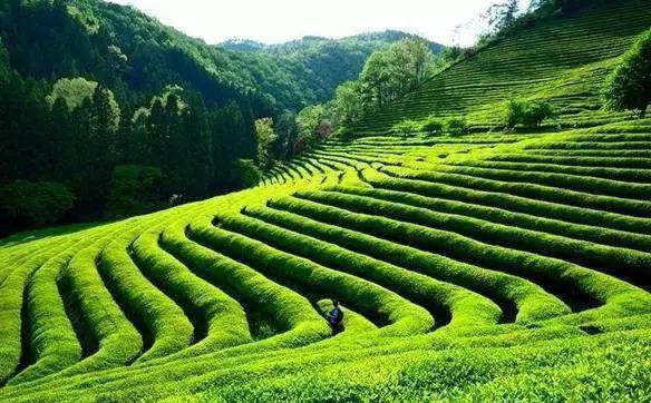 陕西这座千年小县城,以道教名号命名,虽是陕西人却讲四川话_紫阳县