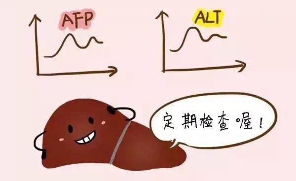 甲胎蛋白长期偏高,怎么降低甲胎蛋白?_水平_治疗_疾病