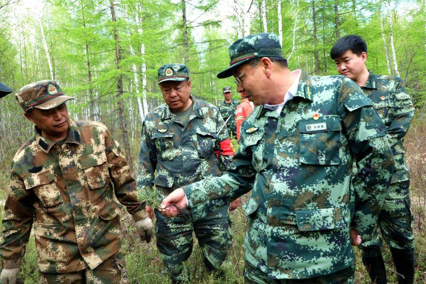 阿木尔林业局:锚定目标抓关键 真抓实干见成效_工作_管理_项目