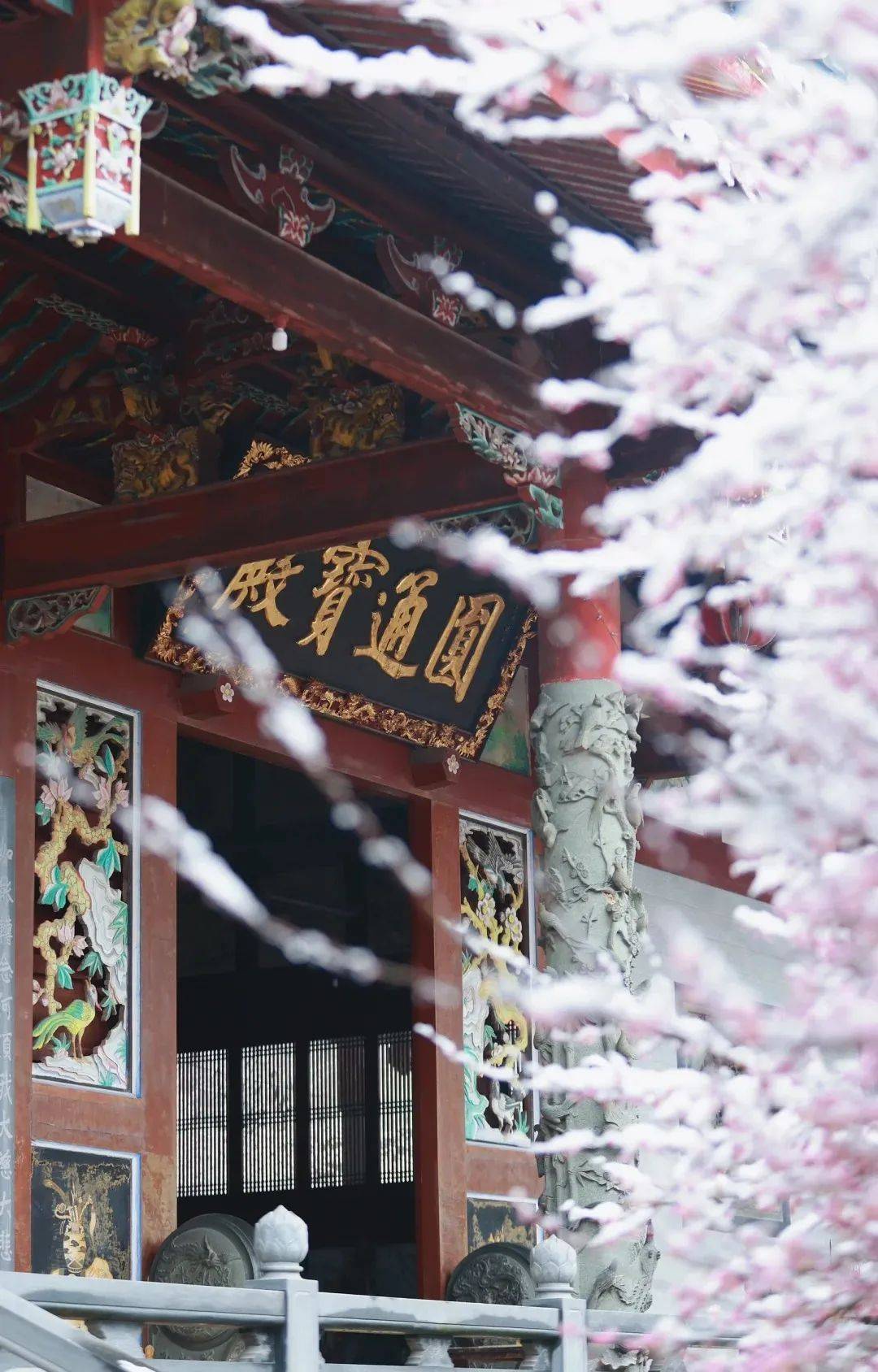 吃喝玩乐攻略也备好了_开元寺_寺院_时间