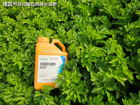 水溶肥选择好,轻松种出好蔬菜_种植_拉姆拉_养分