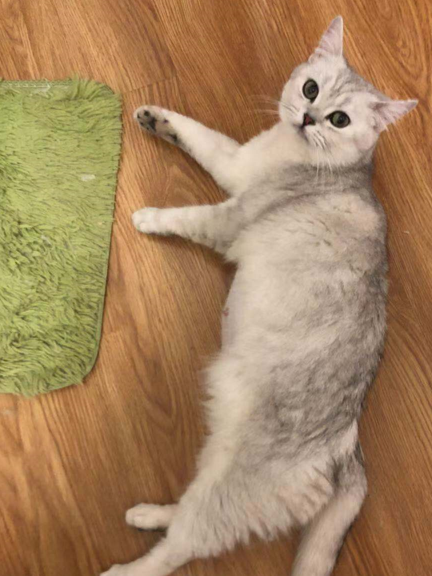 大夫检查了她的精神状态后觉得问题不大,开始查b超.