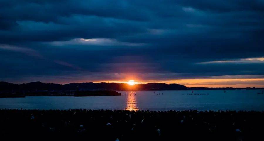 不同家电品类的中国市场众生相：涨跌不一-家电圈官网