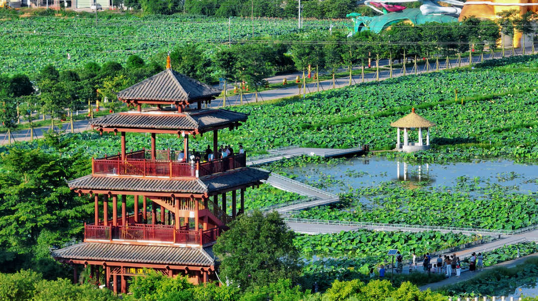 荷美覃塘 湖美四季景区▲ 港南区东津镇石连村冲口屯醒狮营地▲臂帝