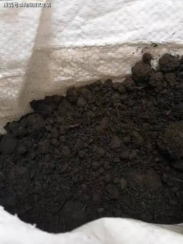 过年回老家,发现很多鸡粪,养花能不能用?发酵才可以用_进行_混合_植物