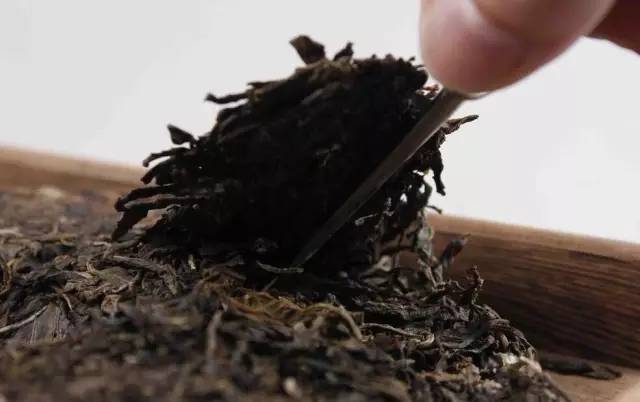 君有易道茶|普洱茶为什么不会过期_茶叶_年份_陈越香