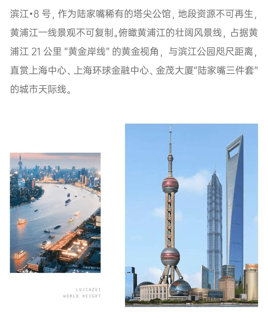 陆家嘴网红三件套 云朵书店 震旦博物馆 浦东美术馆 东方明珠全程步行