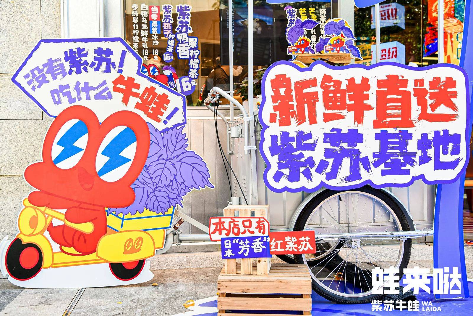 牛蛙大佬蛙来哒高人气秘诀:以高情绪价值"俘获"人心_紫苏_年轻人_消费