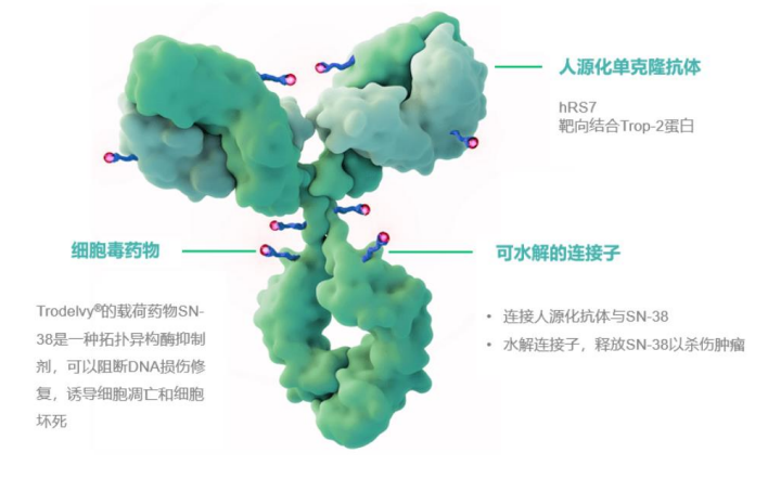 启德医药trop-2 adc申报临床 | 全球trop2 adc研发进展一览