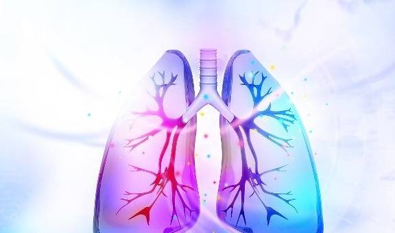 肺火过旺怎么办?牢记多吃"3白",可能给你的肺"灭灭火"_肺部_功效_止咳