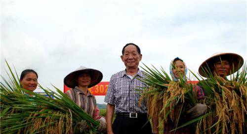 袁隆平的荣誉驾照长啥样?