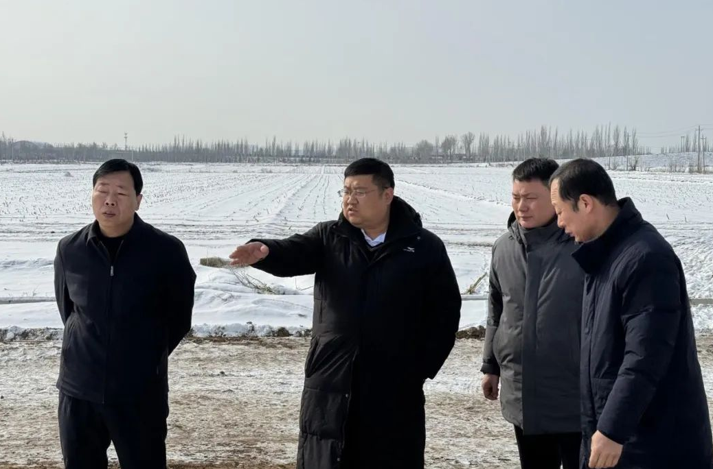 原平市委常委,副市长王寅深入西镇乡调研项目建设情况