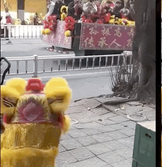 为什么这个7岁的醒狮女孩,只用36秒就让全网泪崩?_搜狐网