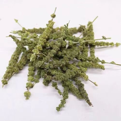 荆芥穗都有什么营养价值?_方面_成分_人体