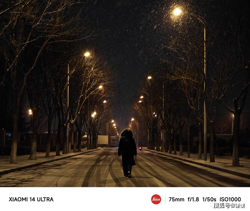 雪夜图片背影图片