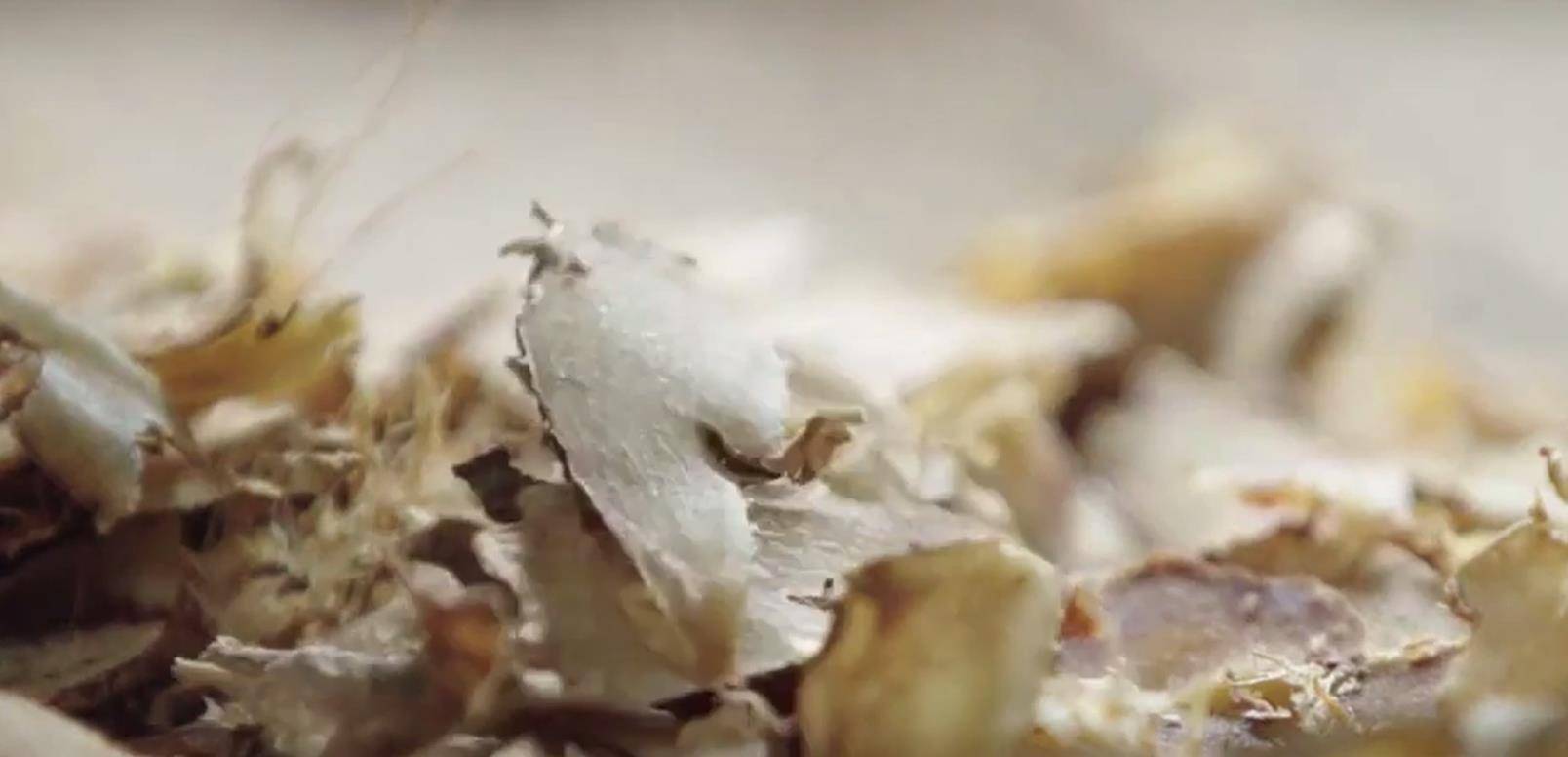 广东梅州光禄第,张裕创始人留下的豪宅和他传奇的一生_张弼_印尼_药材