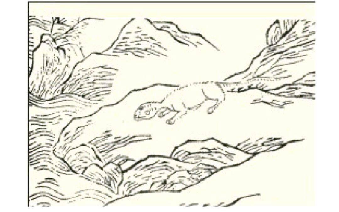 《西次四经》记载了从阴山到崦嵫山共计十九座