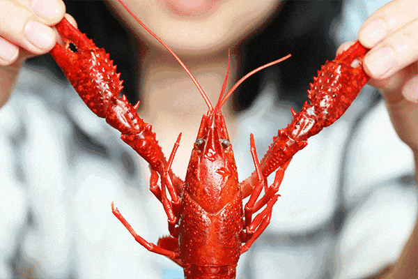 几百多亩小龙虾离奇死亡,问题竟然是无人机?_聂师傅_潜江市_养殖