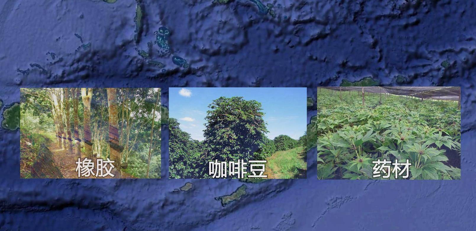 广东梅州光禄第,张裕创始人留下的豪宅和他传奇的一生_张弼_印尼_药材