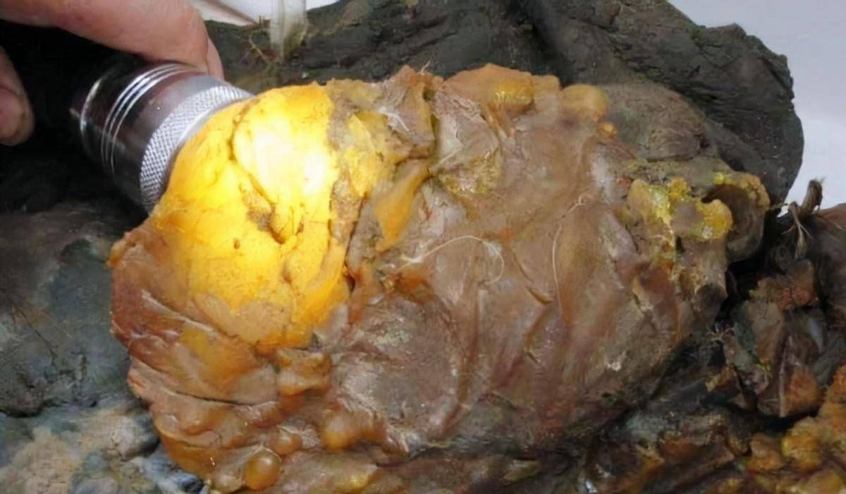 6年前,那个捡到太岁一夜暴富的辽宁农民王承德,后来