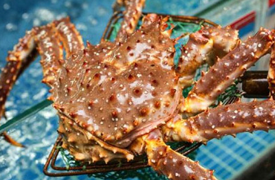 为什么吃帝王蟹,吃蟹腿却不吃蟹身?