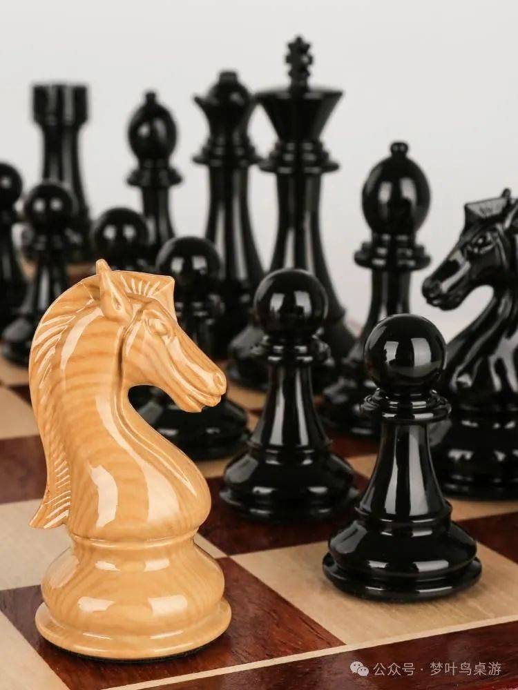 梦叶鸟桌游推荐《500款抽象棋》之国际象棋_棋子_游戏_格子