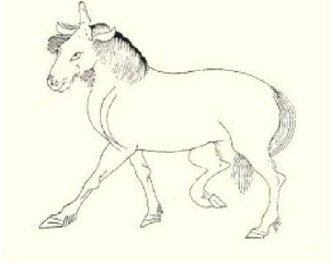 34疏其中多水马,其状如马,文臂牛尾,其音如呼.