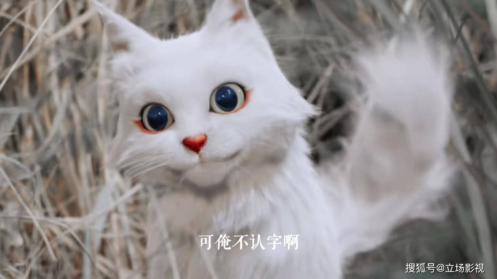 开播,又一部古装大剧来袭,看完介绍,我想说:这回
