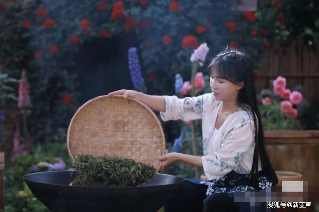 李子柒将本名改为艺名,我们要把关注点放在这一点上_文化_传承_商业