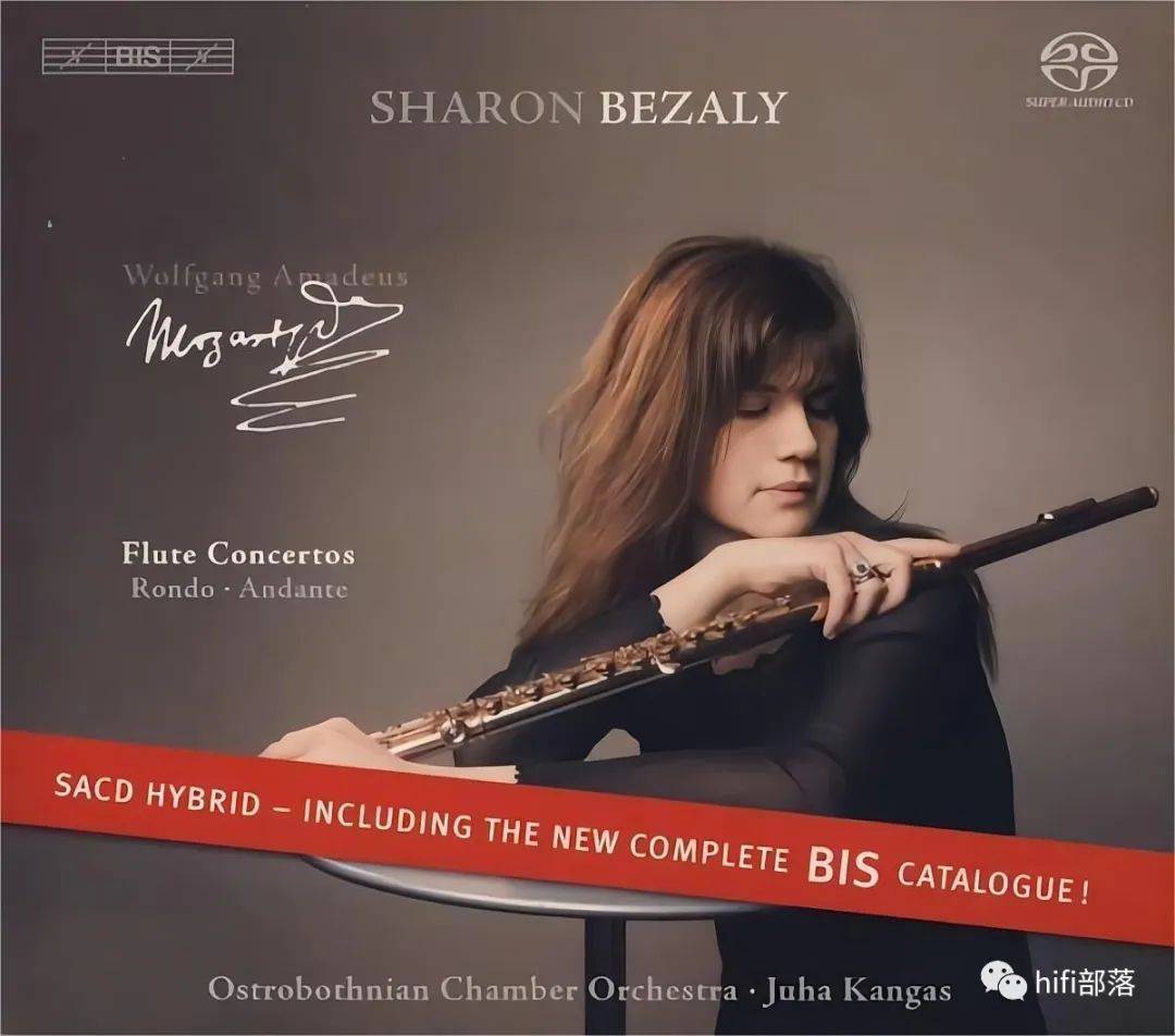 德国 柏林之声 burmester 036 立体声后级放大器_设计_经典_音响