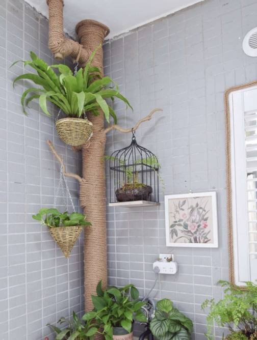 简陋的白色下水管道,在树枝,麻绳,各种小绿植的装饰下,变成了非常自然