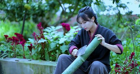 字节跳动火速对杭州微念启动撤资_李子柒_公司_视频