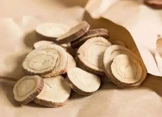 而川芎中的有效物质,则如甘泉般滋润,增加脑部血流量,唤醒记忆的翅膀.