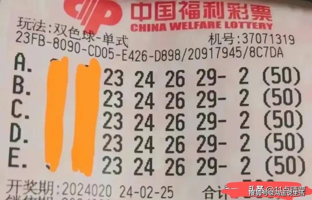 一张彩票,可能蕴含财富,也可能是废纸一张,但恰恰是这张彩票,映射了