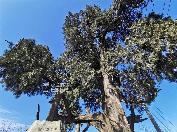 子午峪,金仙观,小五台这些秦岭秘境自不必说,这两年还有古板栗林,网红