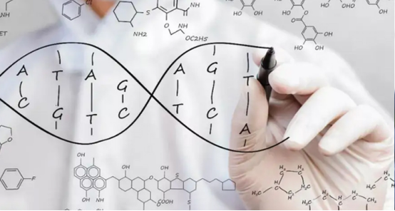 浅谈常用大肠杆菌培养基_细胞_葡萄糖_optimal