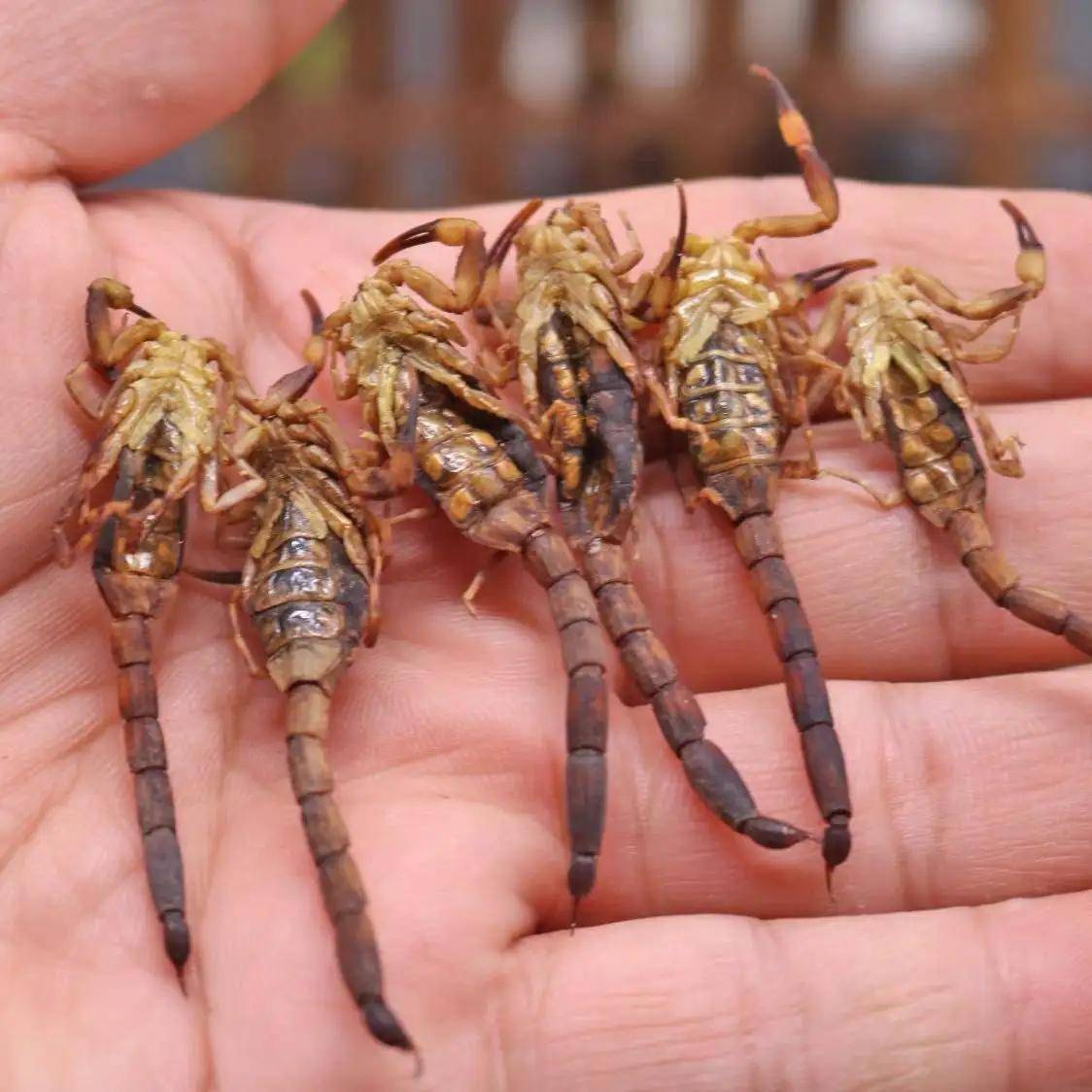 益处_食用_身体