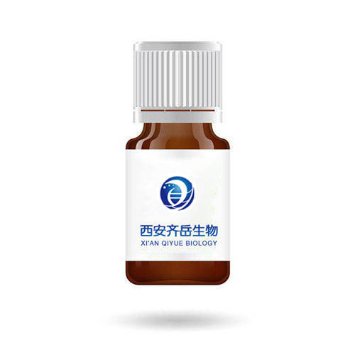 穿膜肽rdp脂质体|ngr修饰的多西他赛ph敏感长循环脂质体(dtx/ngr-pll