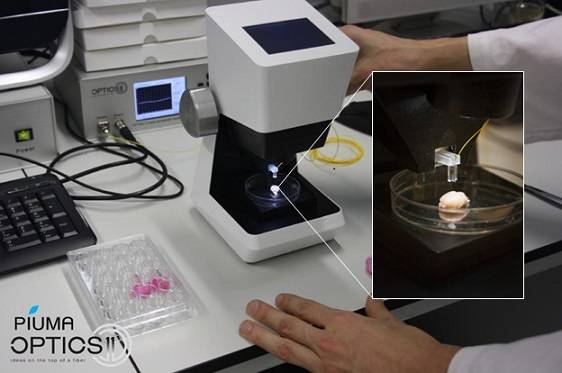 《自然·通讯》模拟皮肤的水凝胶!_细胞膜_结构_功能