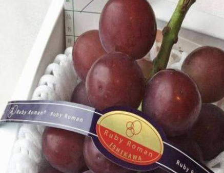 地球上最昂贵的水果,一份草莓要876万元,菠萝一万一个_价格_售价_苹果